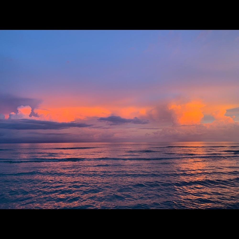 Meet your Posher, Natasha